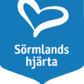 Bergsgatan i Flen