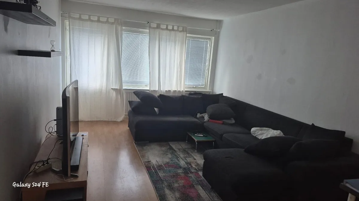 Ringen i Boliden