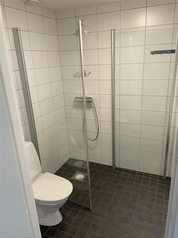 Dånviksvägen i Salem