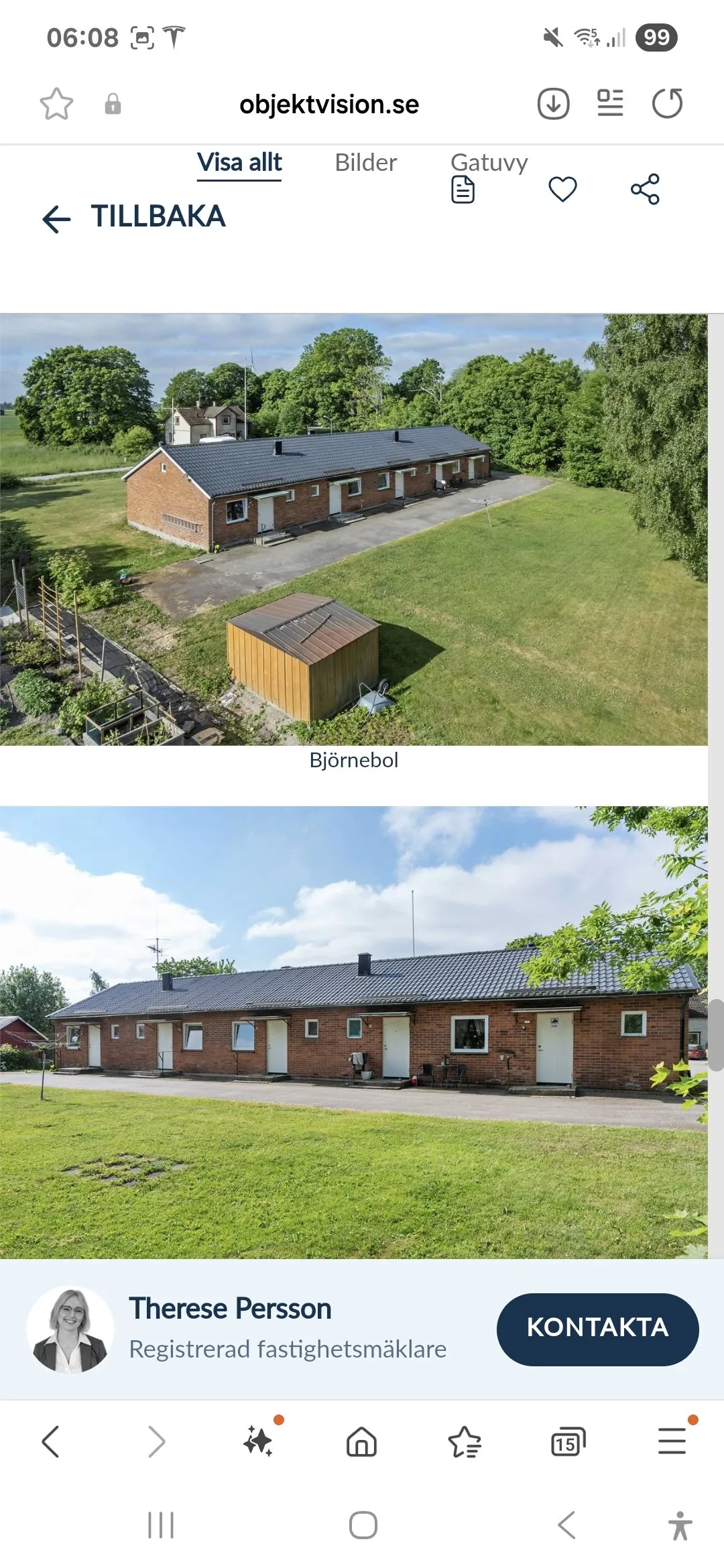 Björnebol i Mellerud
